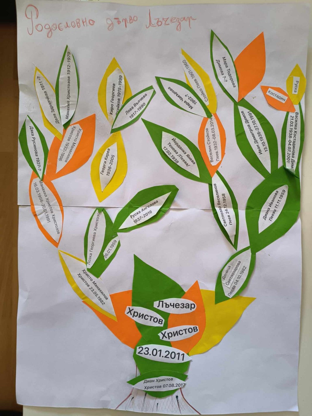 МОЯТ КОРЕН БЪЛГАРСКИ